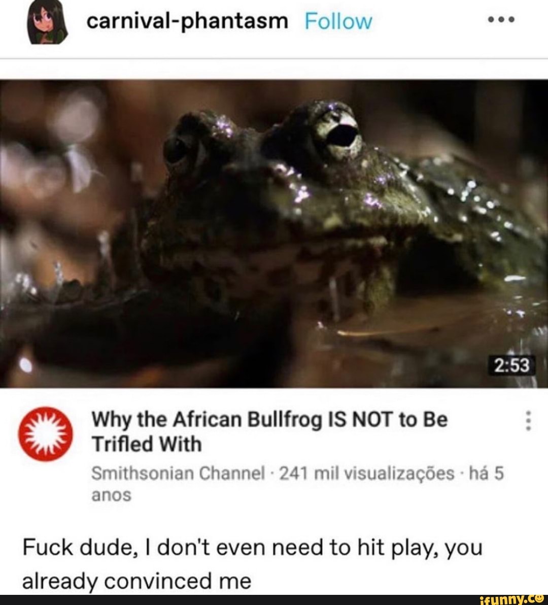 carnival-phantasm Follow
Why the African Bullfrog IS NOT to Be
Trifled With
Fuck dude, I don't even need to hit play, you already convinced me