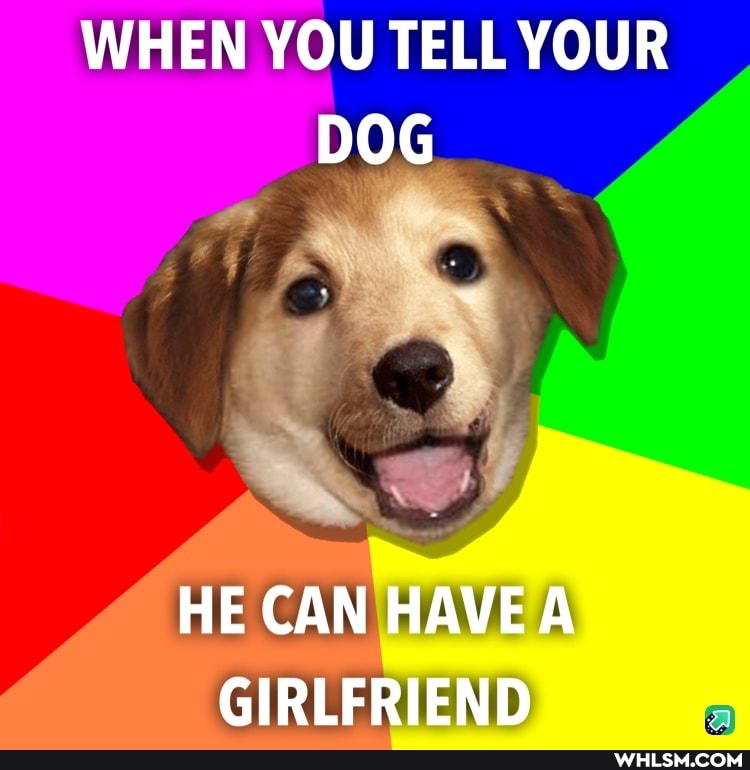 WHEN YOU TELL YOUR DOG
HE CAN HAVE GIRLFRIEND