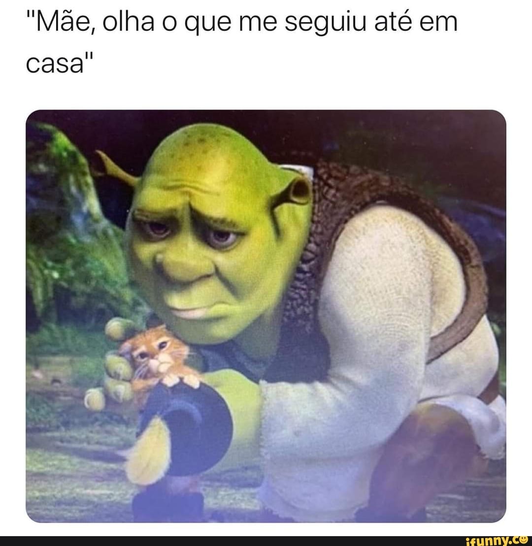 "Mãe, olha o que me seguiu até em
casa"