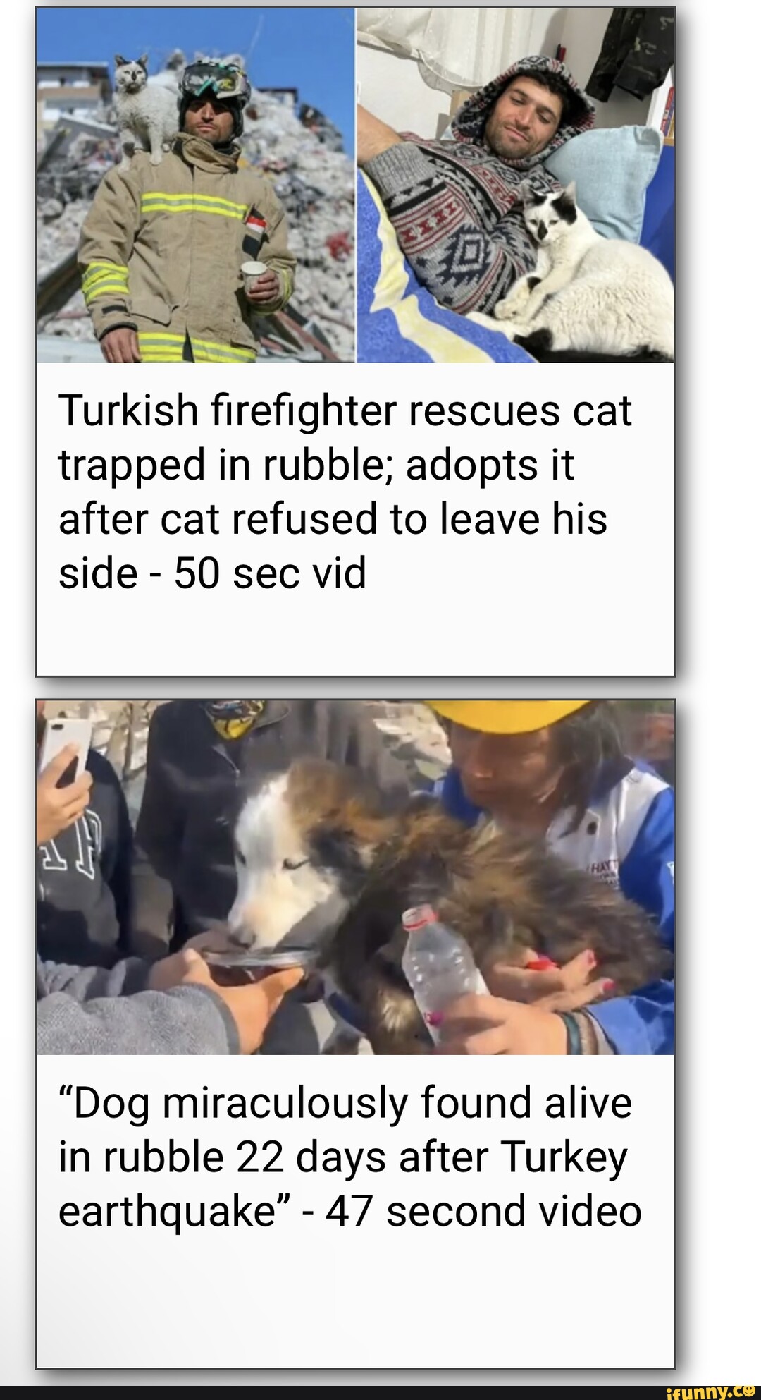 When my cat needed a tail bandage for 10 iFunny