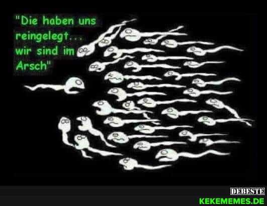 "Die haben uns reingelegt.
wir sind im
Arsch"