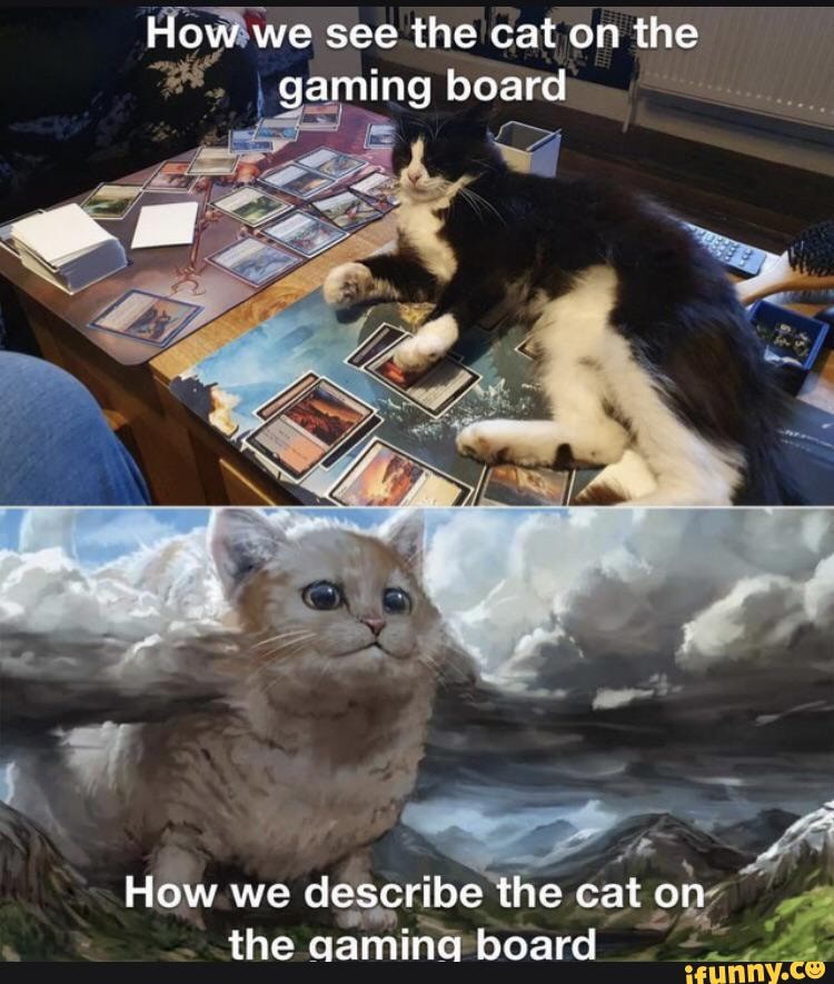 How we see the cat on the gaming board
How we describe the cat on the gaming board