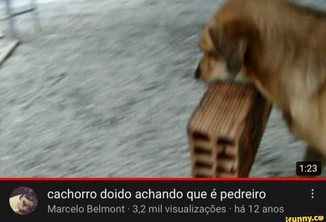 cachorro doido achando que é pedreiro
Marcelo Belmont 3,2 mil visualizações há 12 anos
