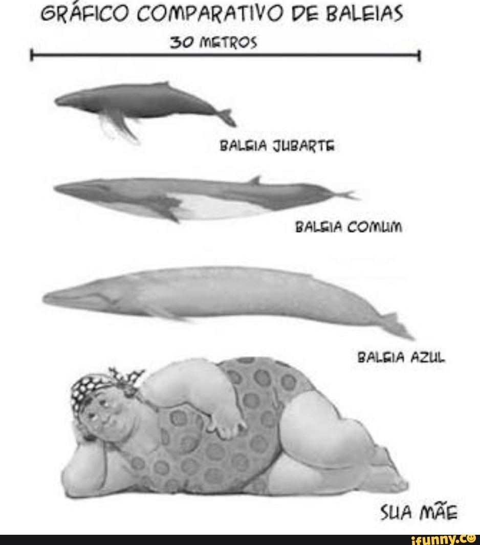 GRÁFICO COMPARATIVO DE BALEIAS