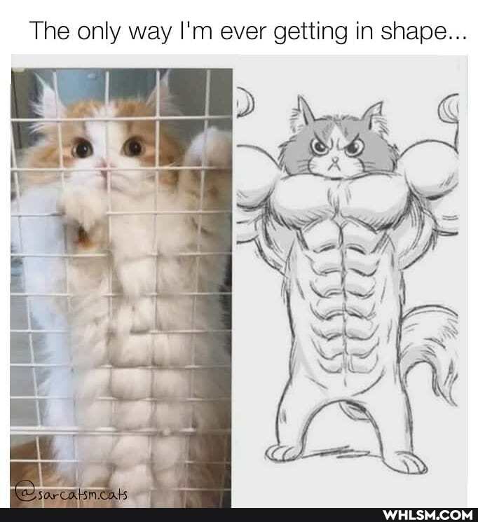 The only way I'm ever getting in shape...