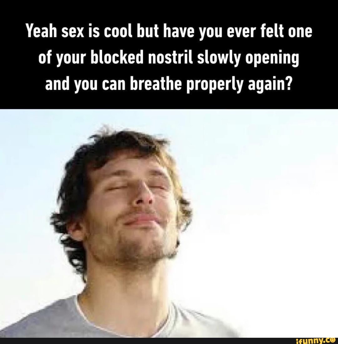 Yeah Sex Is Cool But Have You Ever Felt One Of Your Blocked Nostril