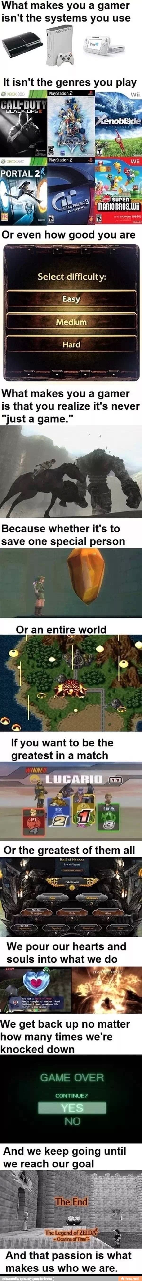 What makes you a gamer
isn't the systems you use
It isn't the genres you play
o
Select difficulty: