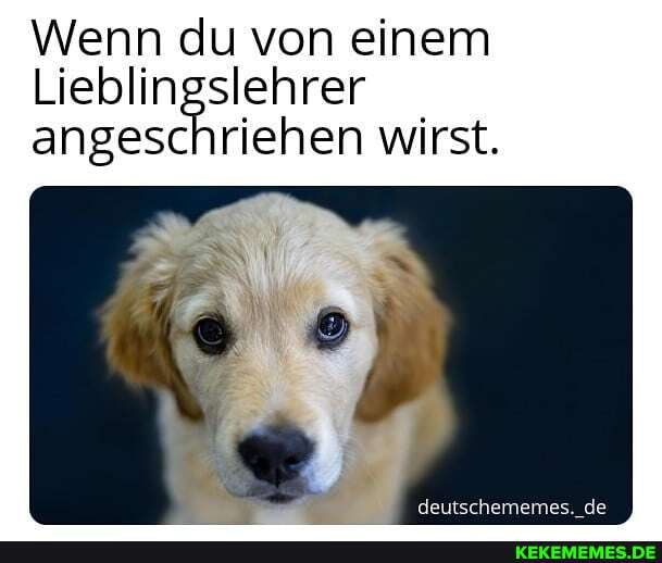 Wenn du von einem
Lieblingslehrer angeschriehen wirst.
angeschriehen wirst.
deutschememes. de