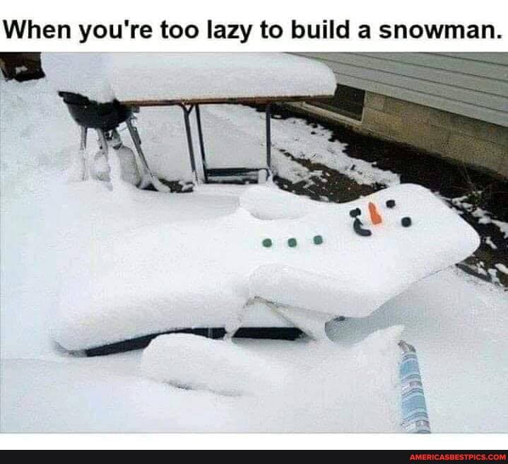 When you're too lazy to build a snowman.