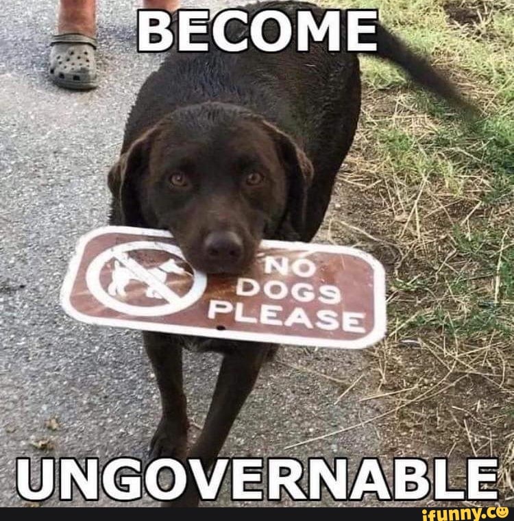 DEC OME
DOS PLEAS
UNGOVERNABLE
