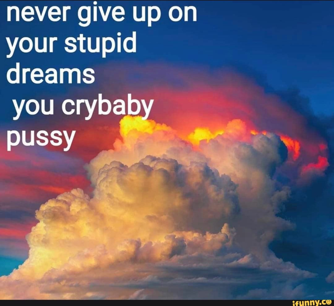 never-give-up-on-your-stupid-dreams-you-crybaby-pussy-ifunny