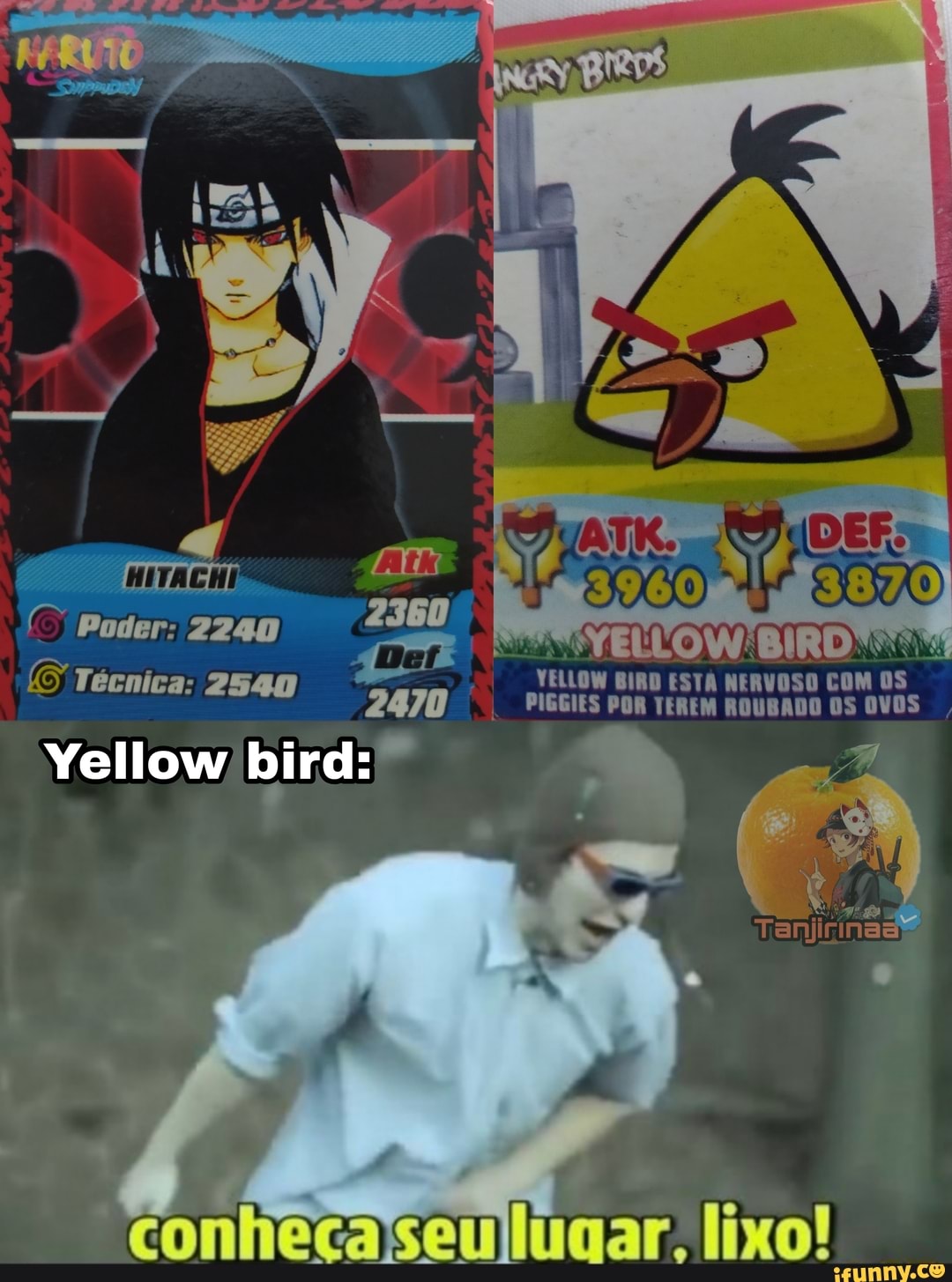 ( Poder: 2240
Técnica: 2540 VELLOW BIRD ESTA NERVOSO COM OS
247D PIGGIES POR TEREM ROUBADO OS OVOS
Yellow bird: