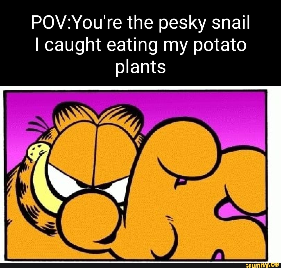 The pesky snail I caught eating my potato plants iFunny