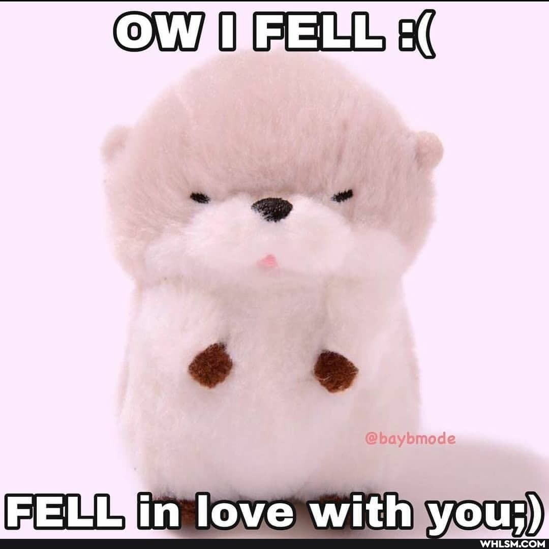OW FELL
mode
FELL in love with vou:)