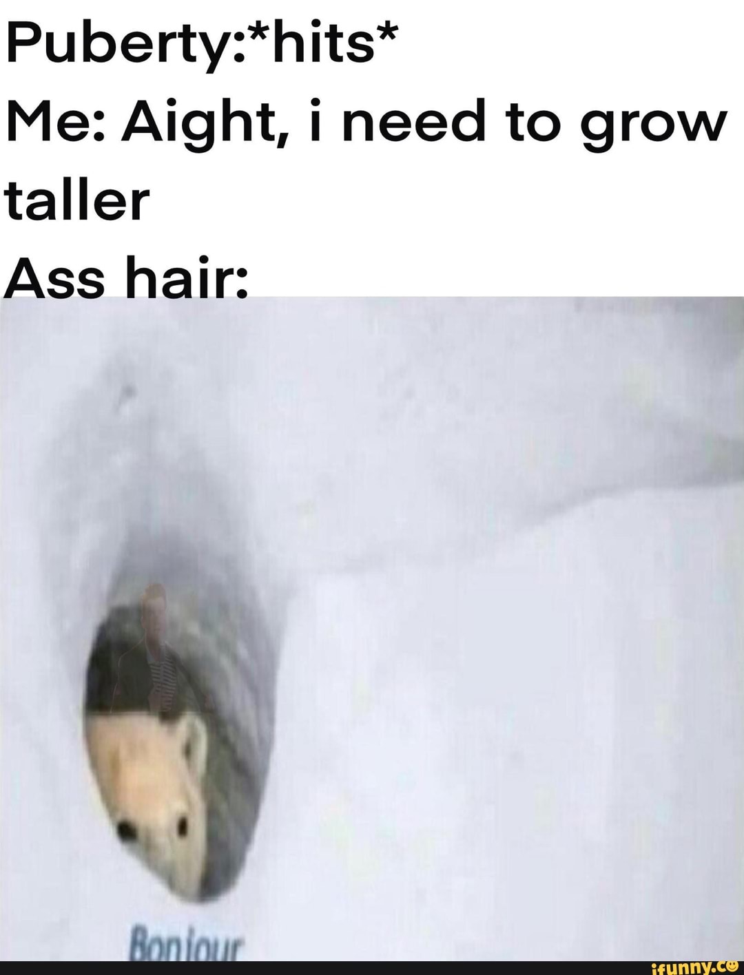 Puberty:*hits*
Me: Aight, i need to grow
taller
Ass hair: