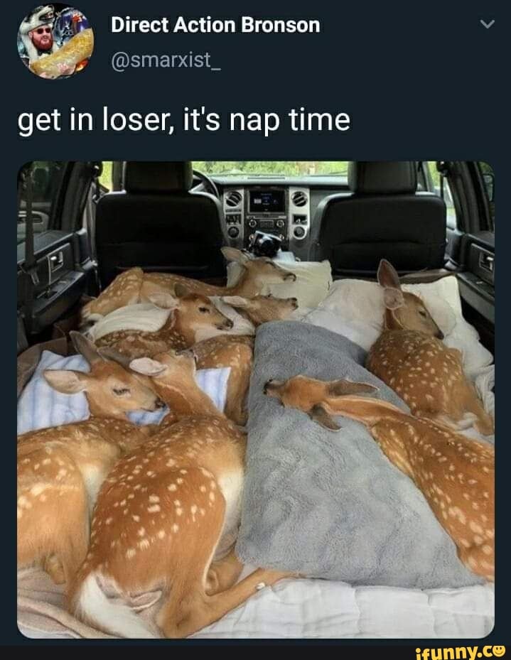 MES Direct Action Bronson Y
get in loser, it's nap time