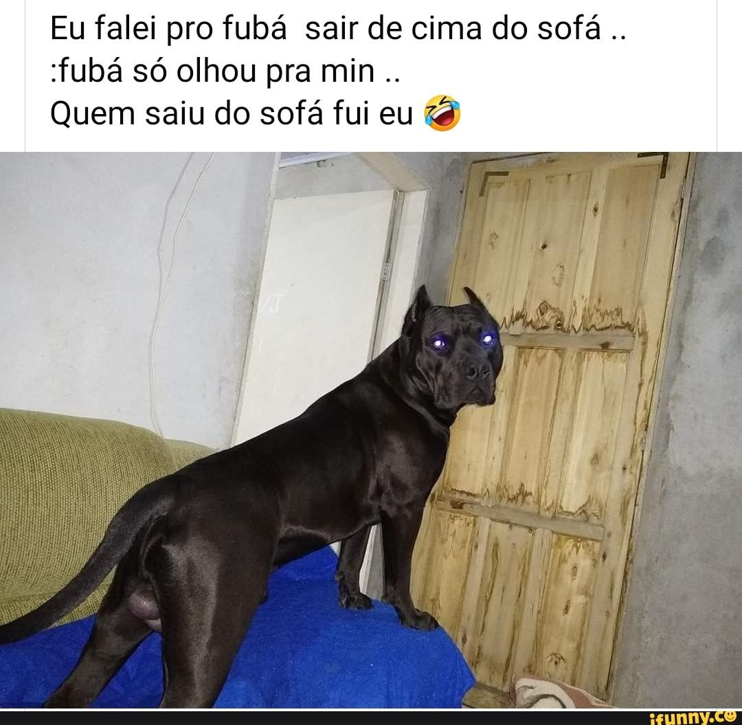 Eu falei pro fubá sair de cima do sofá fubá só olhou pra min
Quem saiu do sofá fui eu