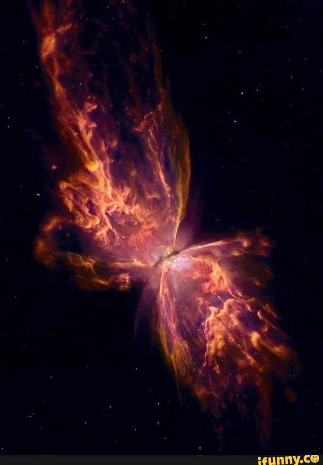 butterfly, nebula, tattoo
