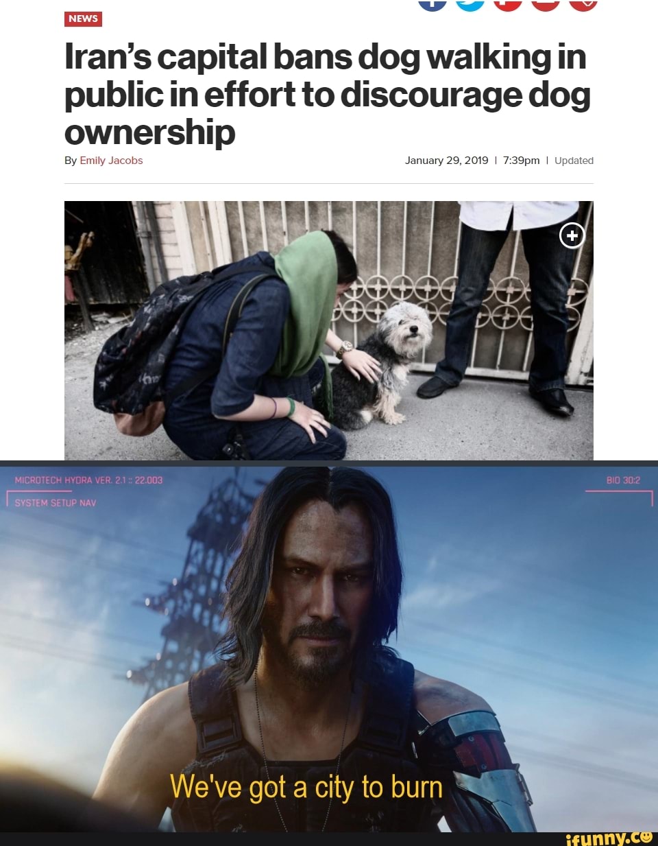 Iran's capital bans dog walking in
public in effort to discourage dog
ownership
We've got a city to burn '1
«