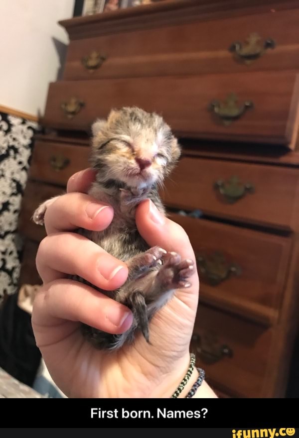 First born. Names? - First born. Names?