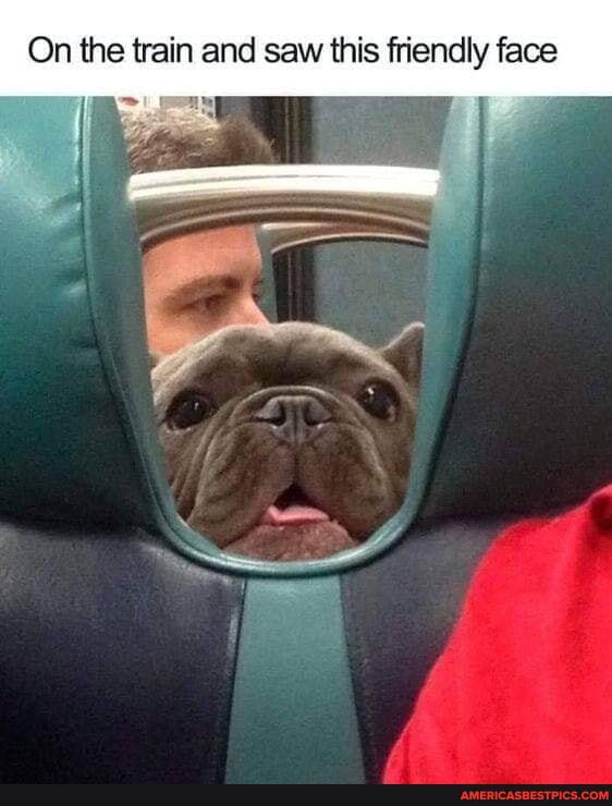 On the train and saw this friendly face