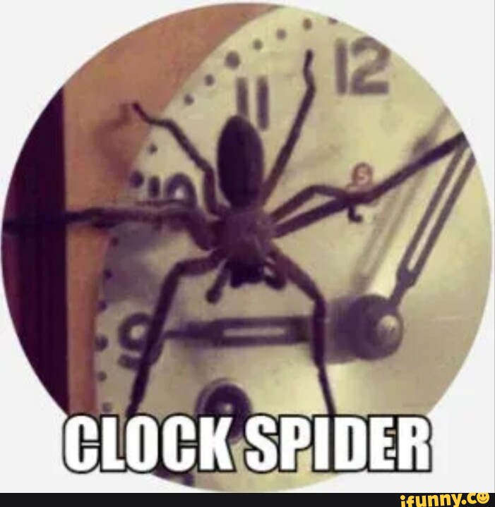 Picture memes MSo0bD1OA by DailySpiderStuff iFunny