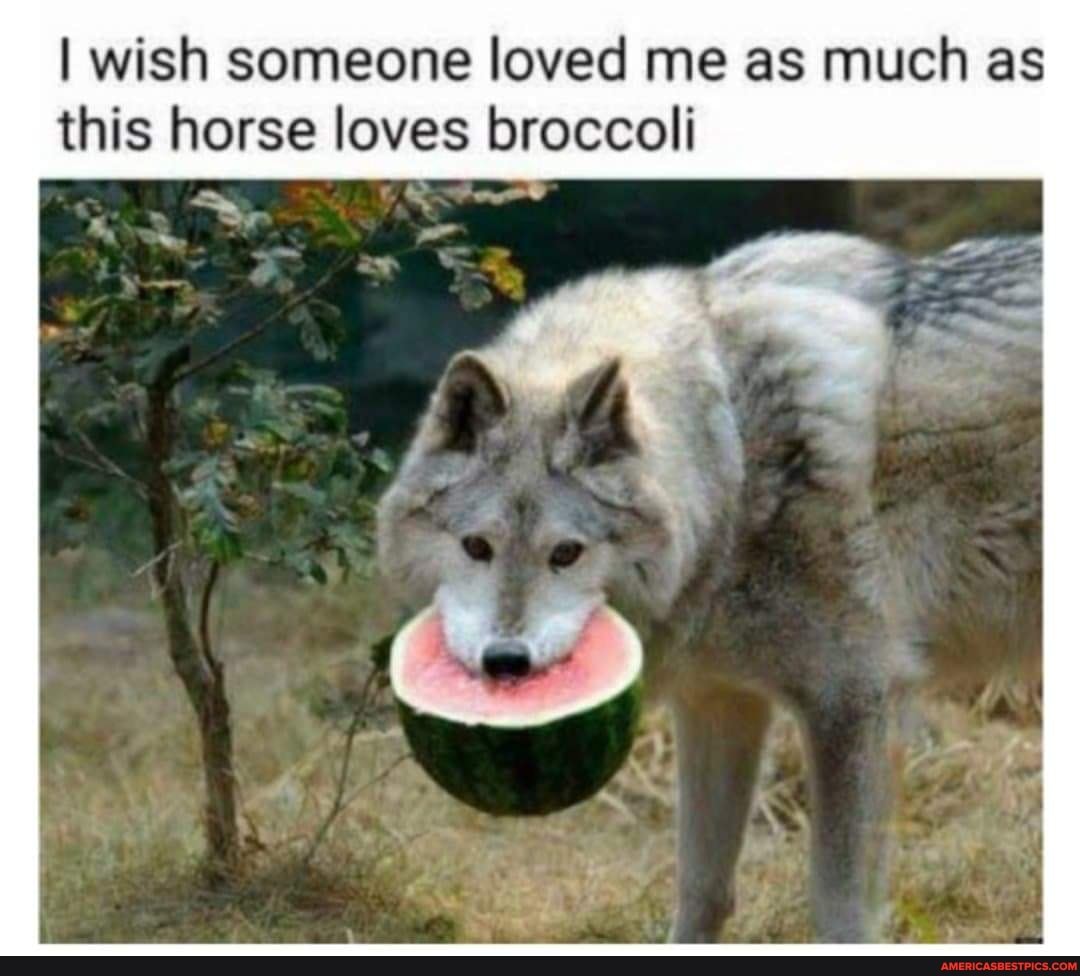 wish someone loved me as much as this horse loves broccoli