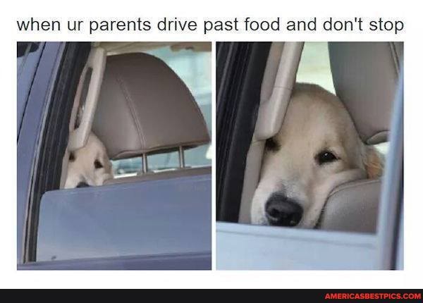 when ur parents drive past food and don't stop