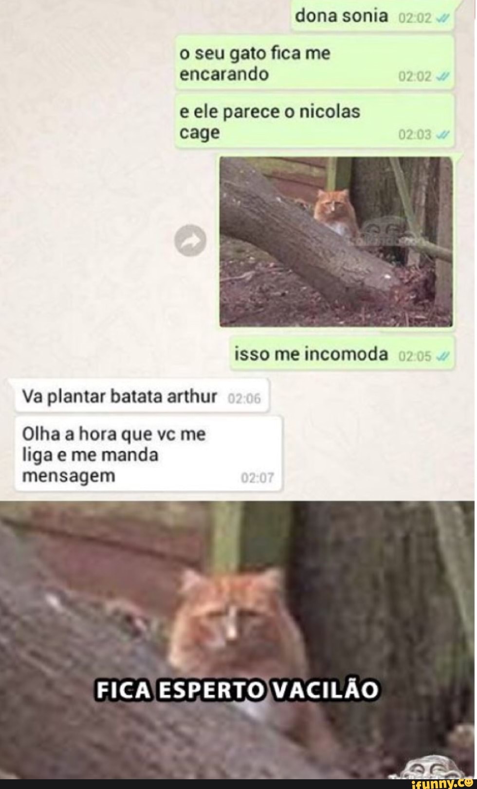 o seu gato fica me
encarando
e ele parece o nicolas
cage
isso me incomoda
Va plantar batata arthur
Olha a hora que vc me
liga e me manda
mensagem