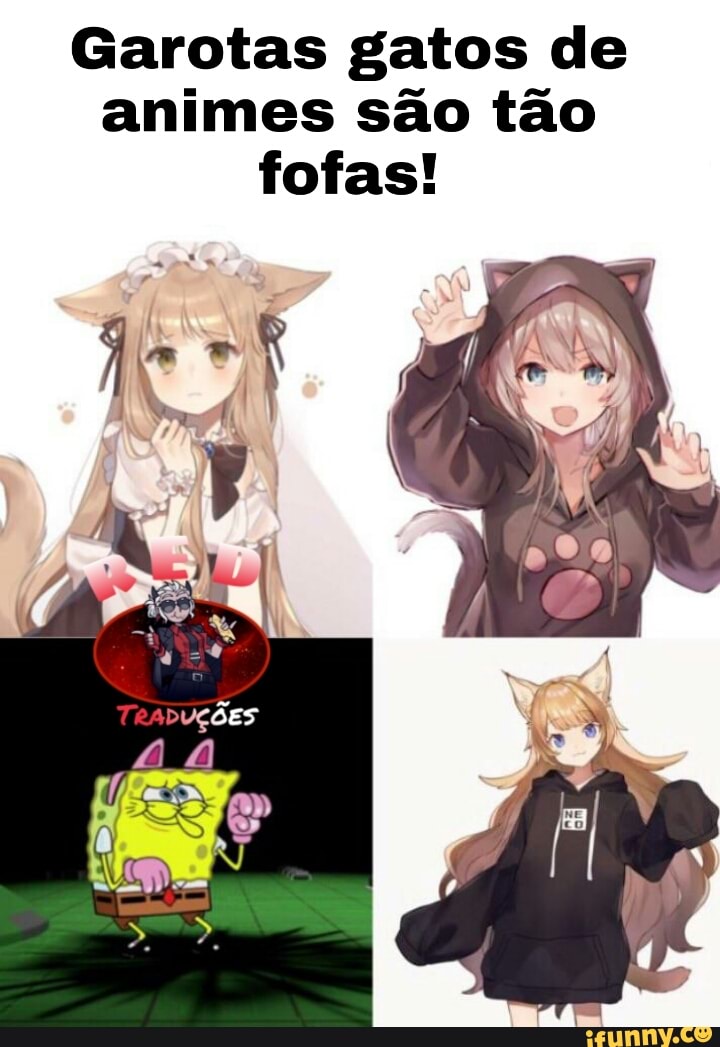Garotas gatos de
animes são tão
fofas!
y