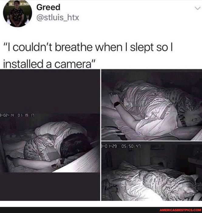 mm Greed
couldn't breathe when I slept so I installed a camera"