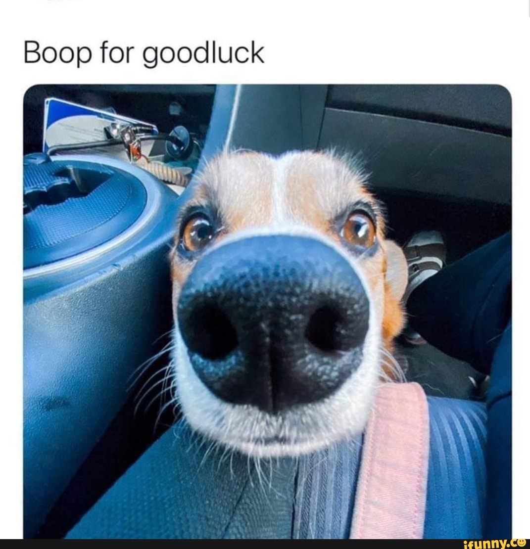 Boop for goodluck
ty