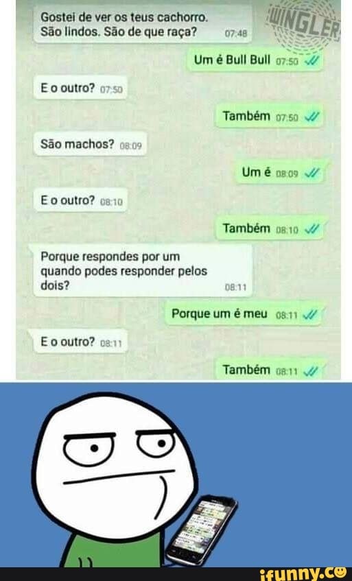 São lindos. São de que raça? 07:48
Porque respondes por um
quando podes responder pelos