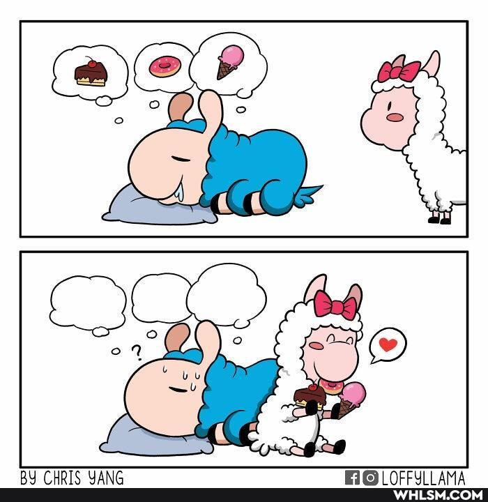 funny, llama, hilarious, humor