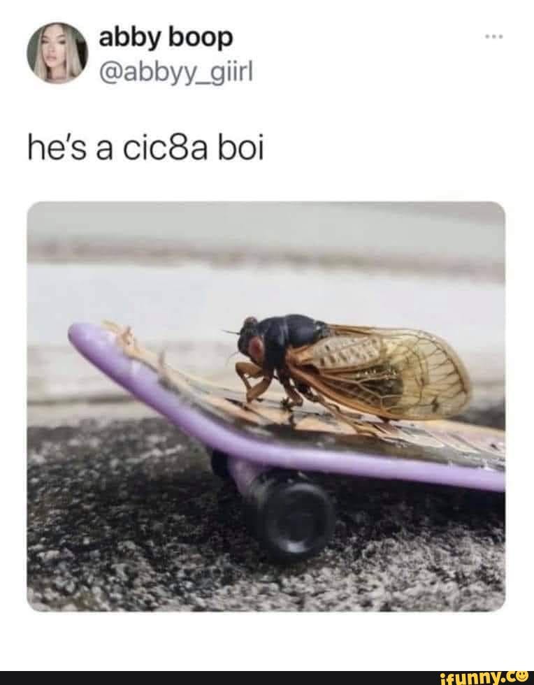 The Return of the Meme (vol. 337) - abby boop he's a cic8a boi - iFunny