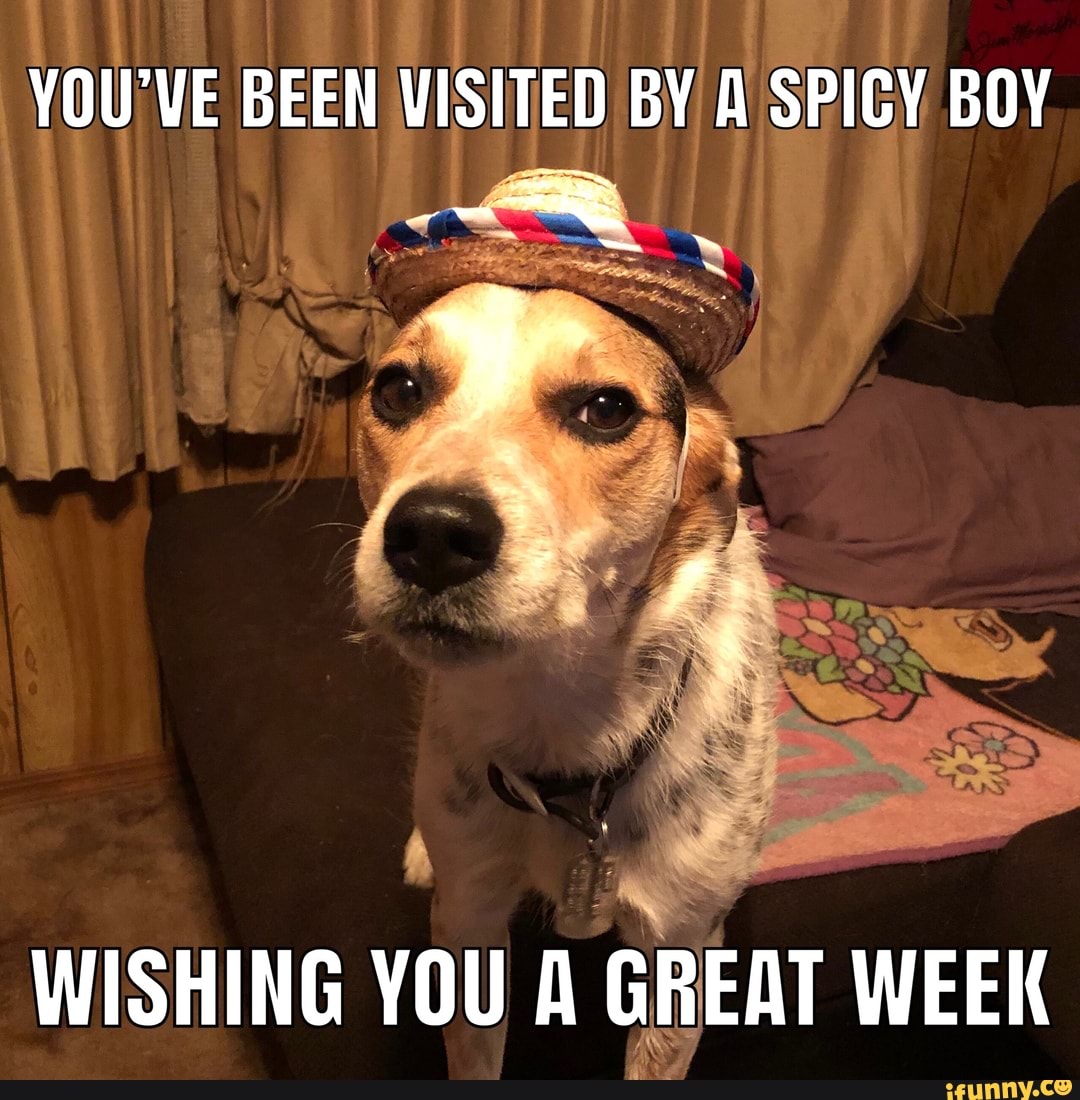 YOU'VE BEEN VISITED BY A SPICY BOY
WISHING YOU A GREAT WEEK