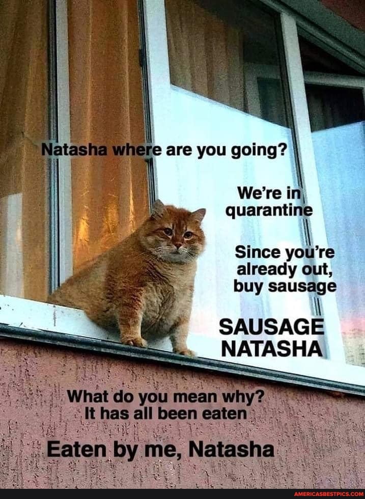 e are you going?
We're in, quarantine
Since you're
already out,
buy sausage
SAUSAGE NATASHA
hes alll
