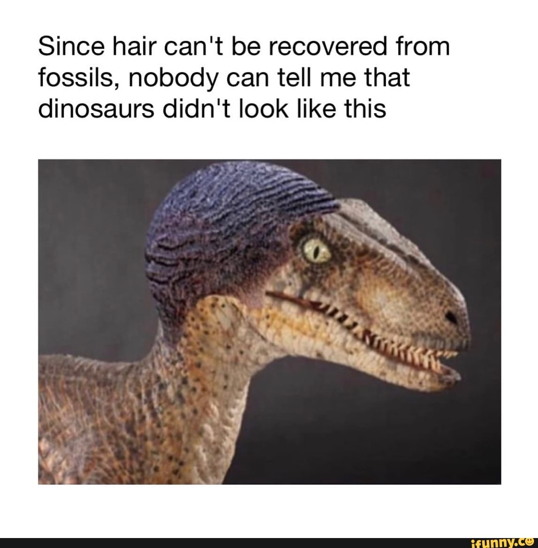 Since hair can't be recovered from fossils, nobody can tell me that ...