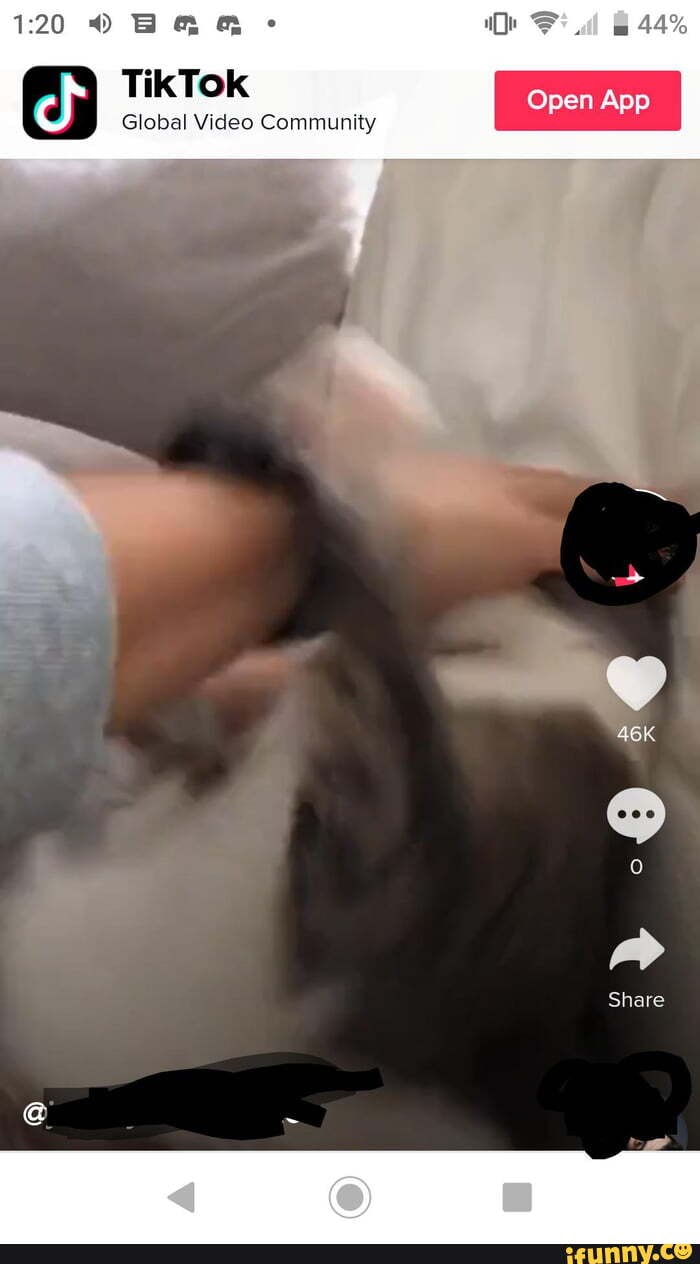 TikTok
Global Video Community
Share