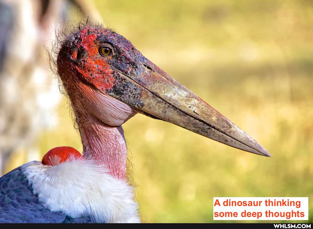 A dinosaur thinking some deep thoughts