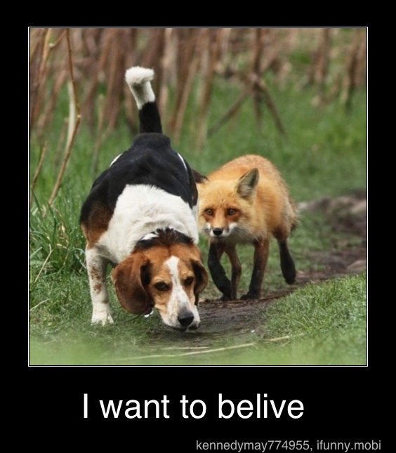 I want to belive - I want to belive