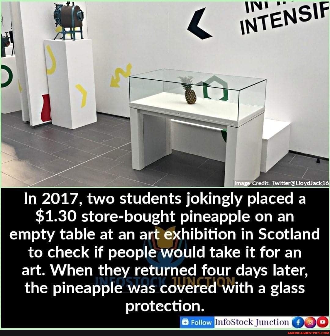 In 2017, two students jokingly placed a
$1.30 store-bought pineapple on an empty table at an art exhibition in Scotland to check if people would take it for an art. When they returned four days later, the pineapple was covered with a glass
protection.
Follow InfoStock Junction