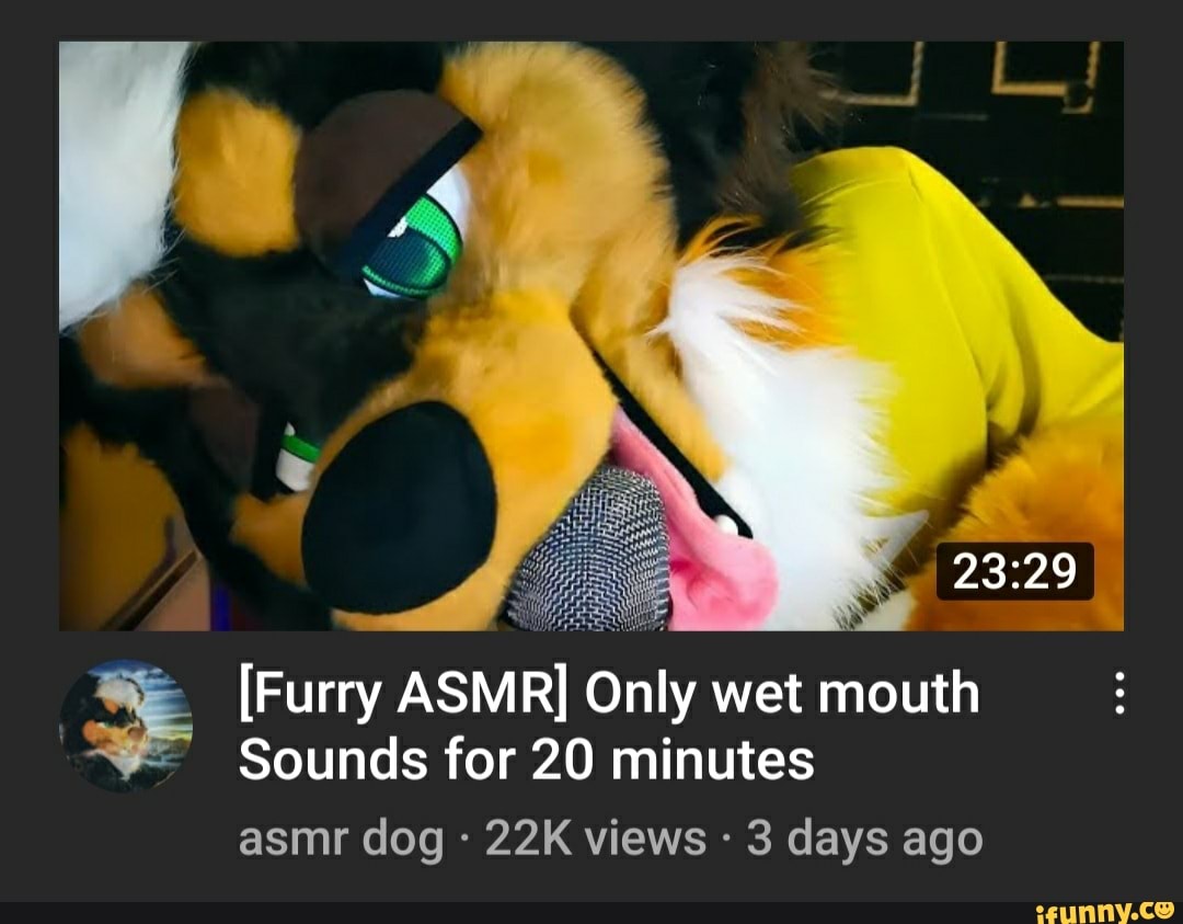 Furry ASMR] Only wet mouth Sounds for 20 minutes asmr dog views 3 days ago  - iFunny