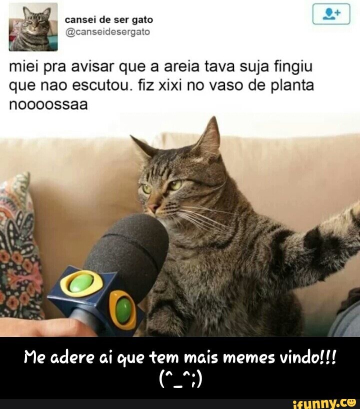 miei pra avisar que a areia tava suja fingiu
que nao escutou. fiz xixi no vaso de planta
noooossaa
Me adere ai que tem mais memes
PRA - Me adere ai que tem mais memes vindo!!! (^_^;)
