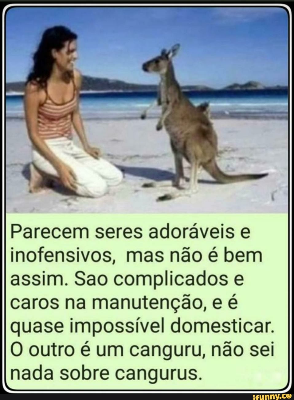 Parecem seres adoráveis e inofensivos, mas não é bem assim. Sao complicados e caros na manutenção, e é quase impossível domesticar.
O outro é um canguru, não sei nada sobre cangurus.