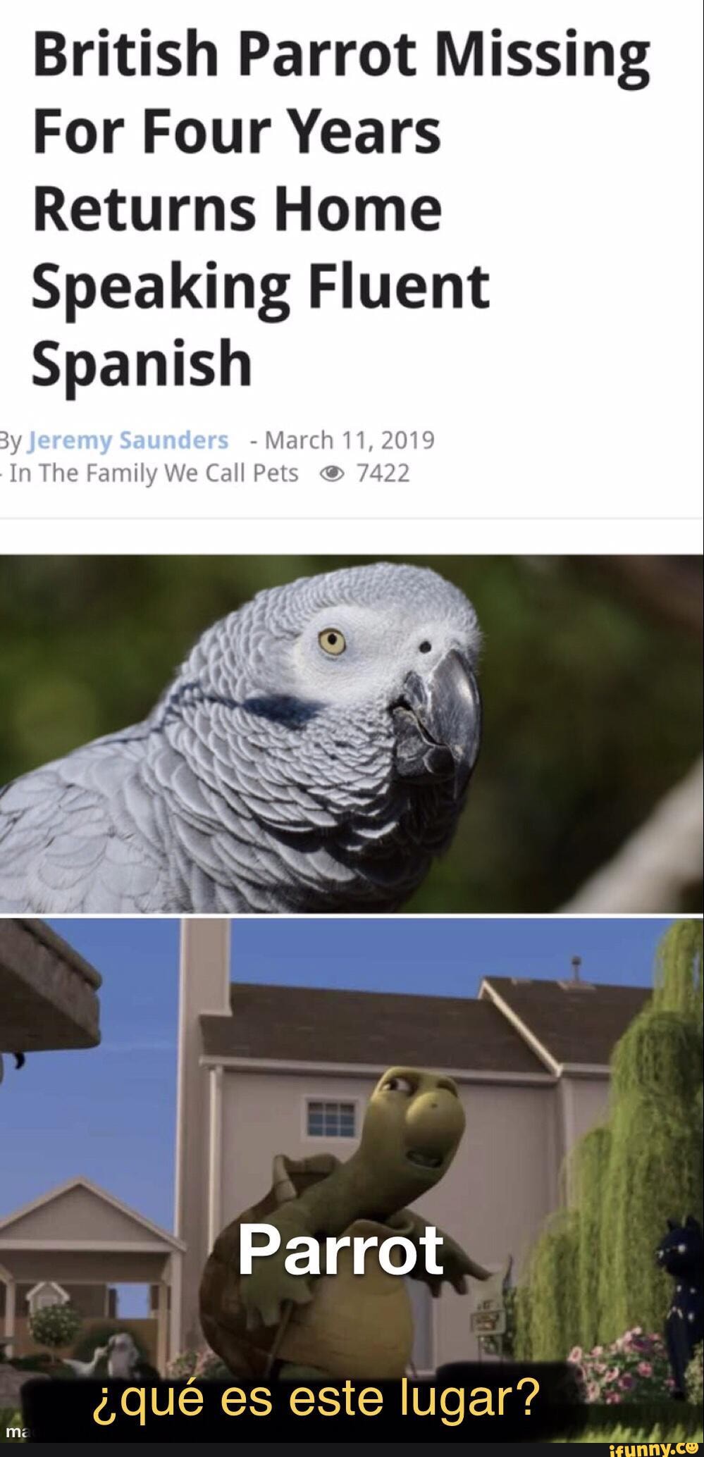 British Parrot Missing
For Four Years
Returns Home
Speaking Fluent
Spanish
y - March 11, 2019
In The Family We Call Pets 7422
Parrot
que es este lugar?