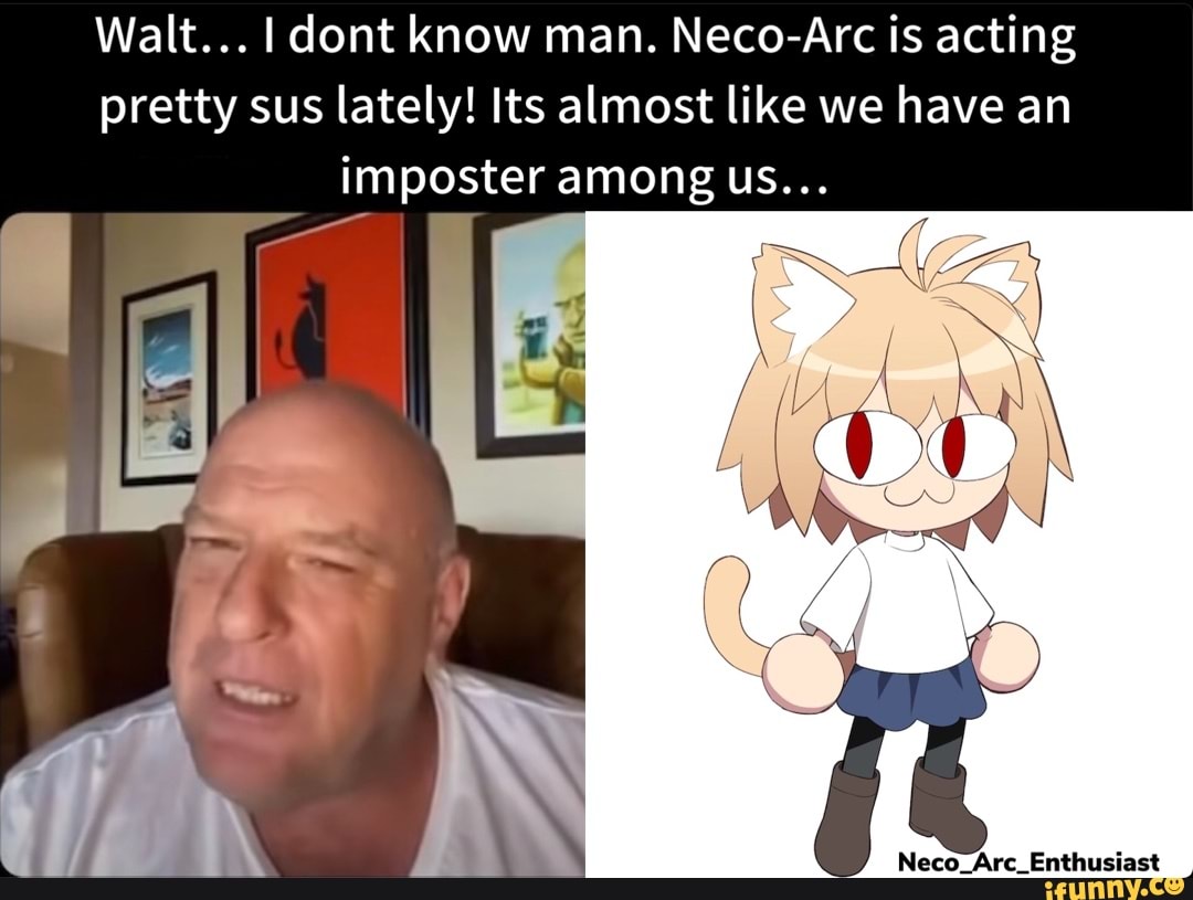 Walt... I dont know man. Neco-Arc is acting pretty sus lately! Its ...