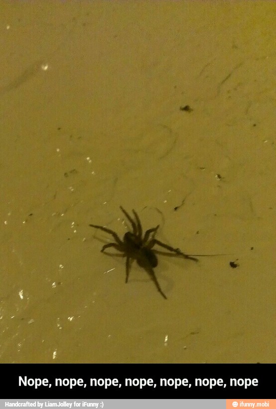 Nope, nope, nope, nope, nope, nope, nope - Nope, nope, nope, nope, nope, nope, nope