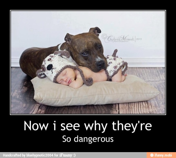 Now i see why they're
So dangerous - Now i see why they're
So dangerous