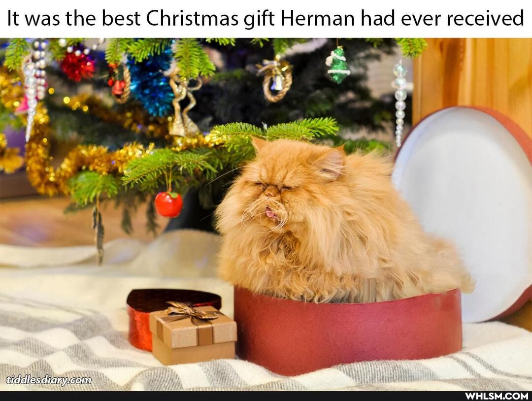 It was the best Christmas gift Herman had ever received
+ed dee dinerec: